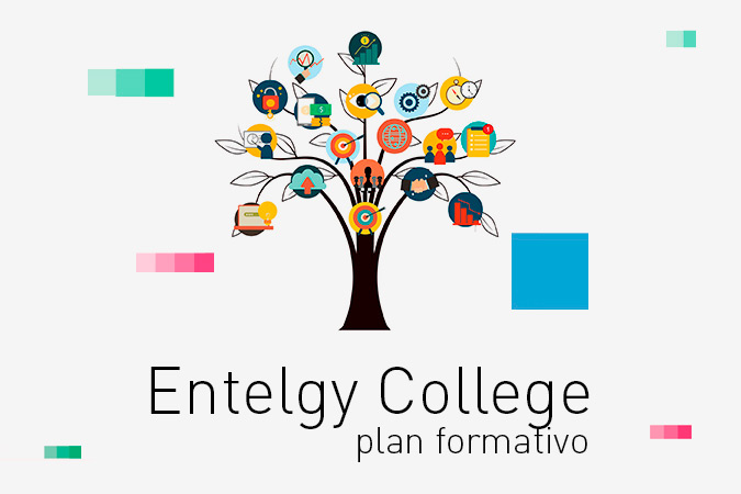 Entelgy College (Plan Formativo)